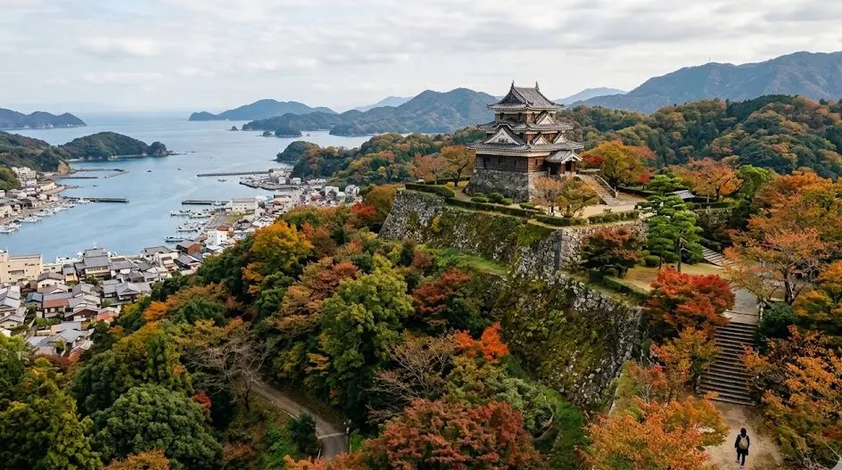 愛媛県 宇和島市の空き家・実家のイメージ