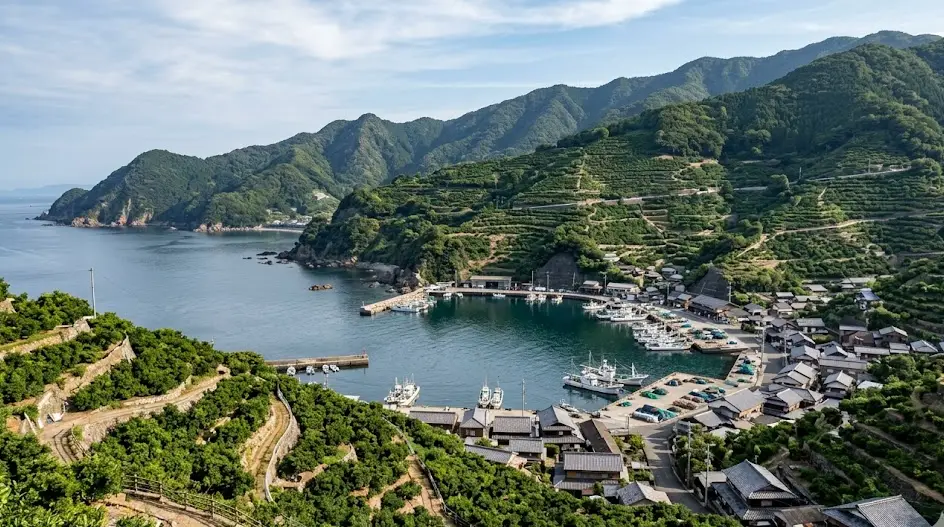 愛媛県 八幡浜市の空き家・実家のイメージ