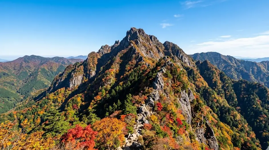 愛媛県 西条市の空き家・実家のイメージ