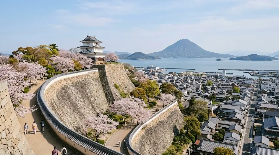 香川県 丸亀市の空き家・実家のイメージ