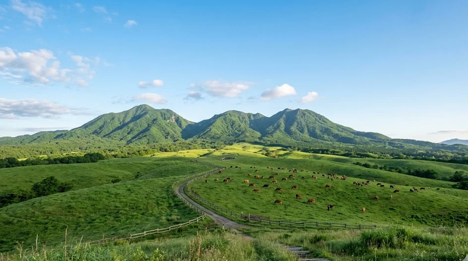 岡山県 真庭市の空き家・実家のイメージ