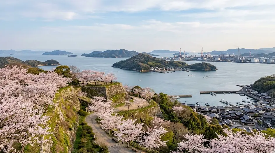 広島県 大竹市の空き家・実家のイメージ