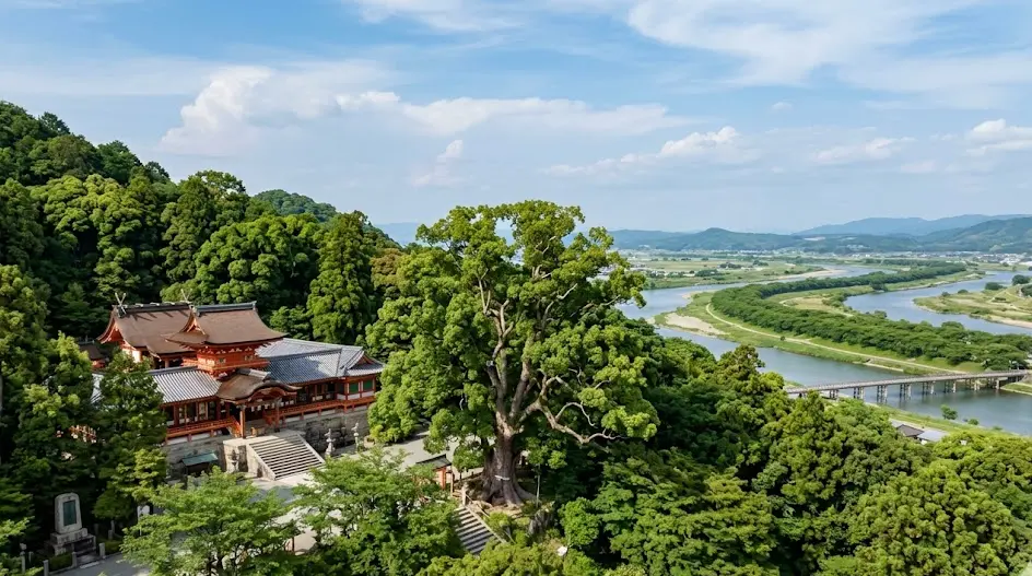 京都府 八幡市の空き家・実家のイメージ