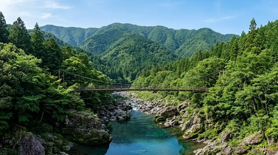 徳島県 那賀郡 那賀町の空き家・実家のイメージ