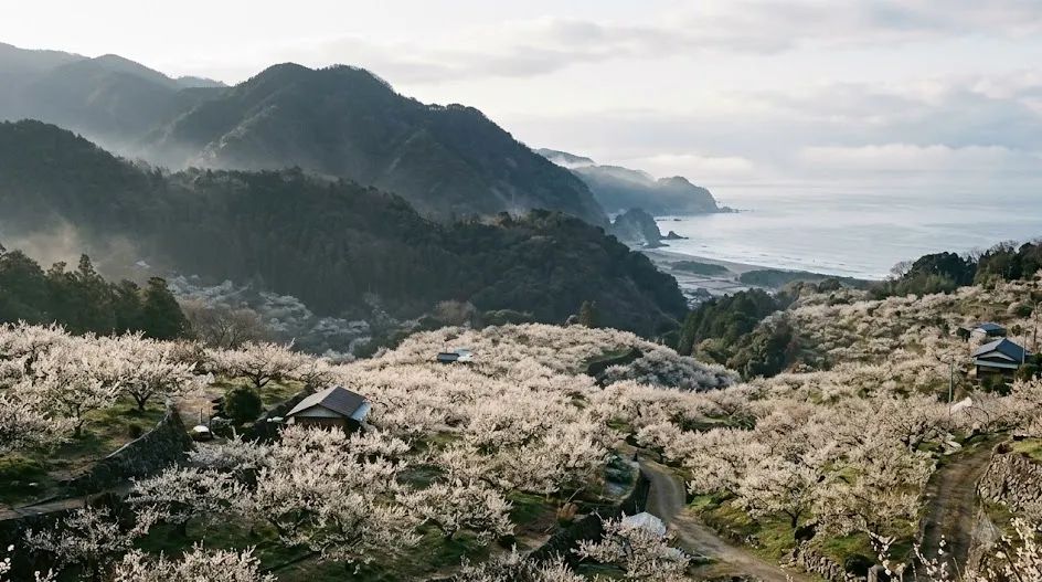 和歌山県 日高郡 みなべ町の空き家・実家のイメージ