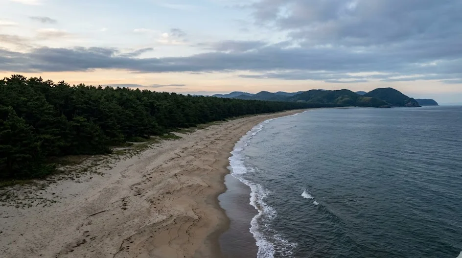 徳島県 海部郡 海陽町の空き家・実家のイメージ