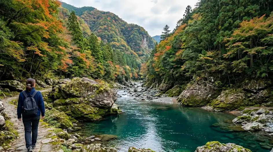 高知県 吾川郡 仁淀川町の空き家・実家のイメージ