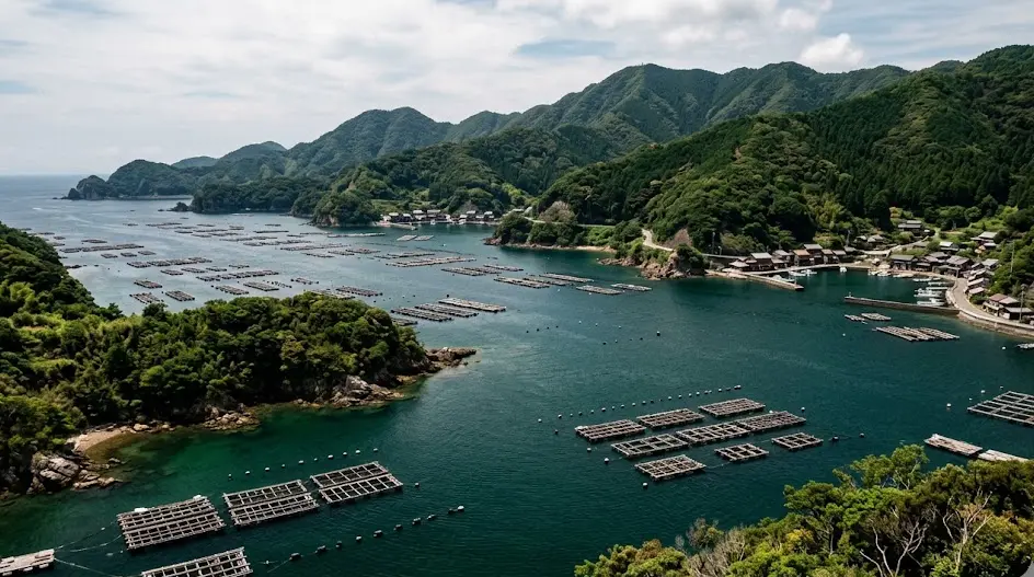 愛媛県 南宇和郡 愛南町の空き家・実家のイメージ