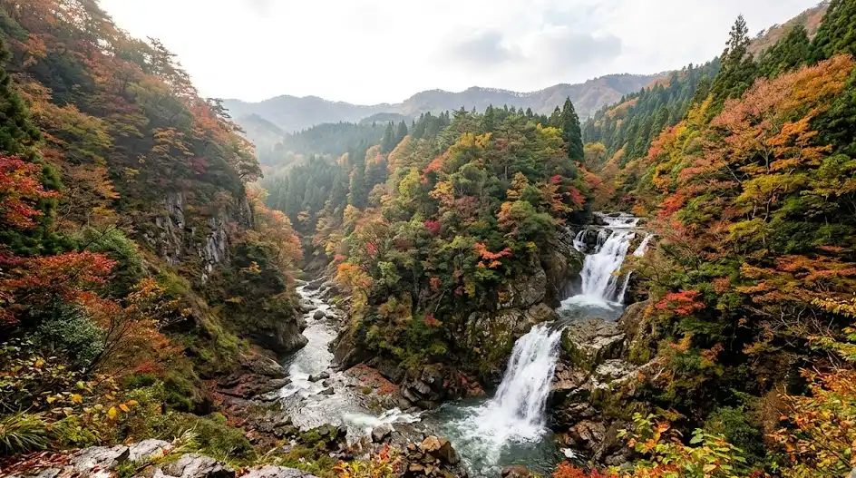 島根県 邑智郡 美郷町の空き家・実家のイメージ