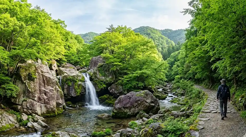 岡山県 加賀郡 吉備中央町の空き家・実家のイメージ
