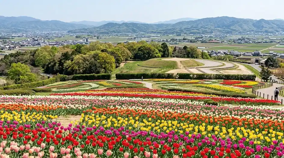 奈良県 北葛城郡 上牧町の空き家・実家のイメージ