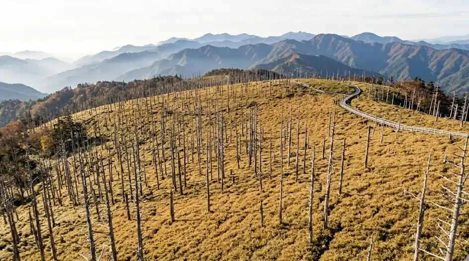 奈良県 吉野郡 上北山村の空き家・実家のイメージ