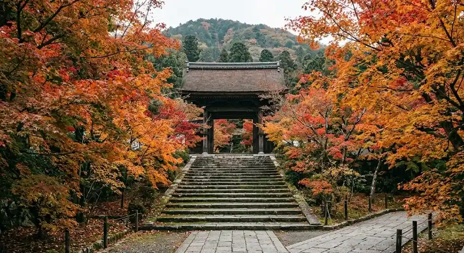 京都府 京都市 山科区の空き家・実家のイメージ