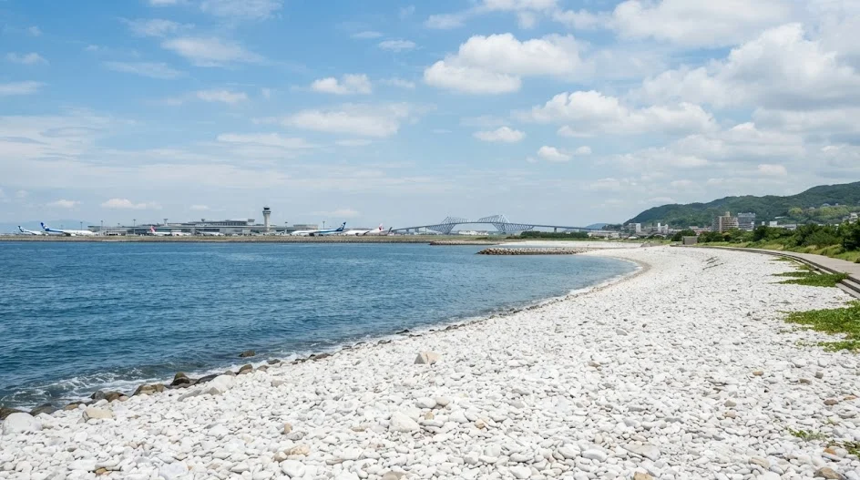 大阪府 泉南市の空き家・実家のイメージ